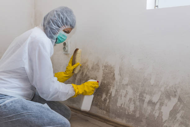 Best HVAC Mold Inspection and Cleaning  in Eagle Point, OR