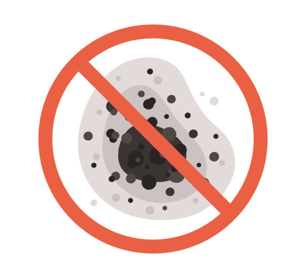 Best Black Mold Removal  in Eagle Point, OR