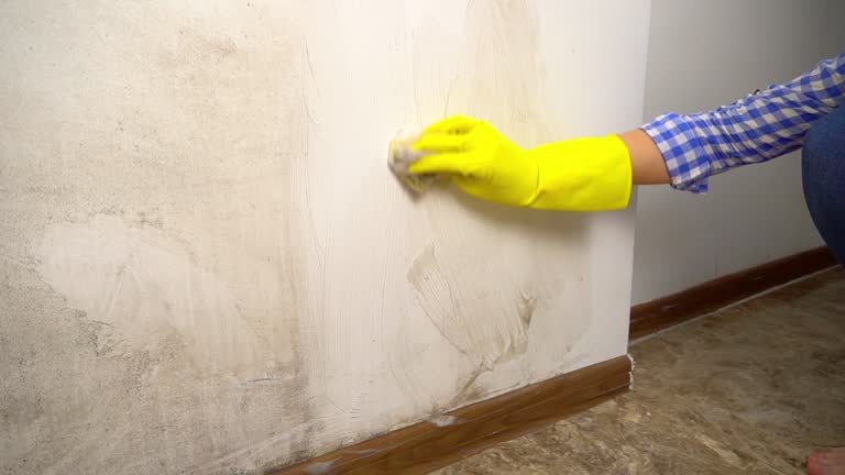 Mold Remediation for Rental Properties in Eagle Point, OR